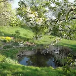Burgenblick Отель
