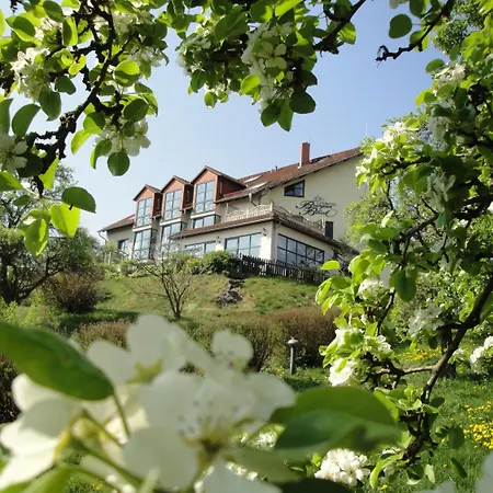 Burgenblick Garni & Tagungshotel 3*