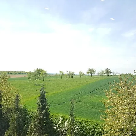 Landhotel Burgenblick 3*