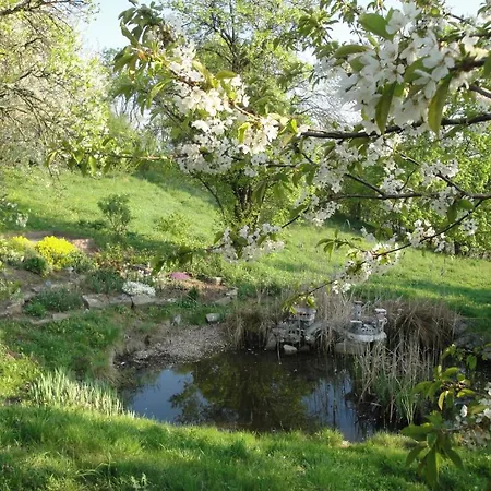 Landhotel Burgenblick Hotel 3*