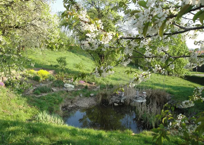 Burgenblick מלון